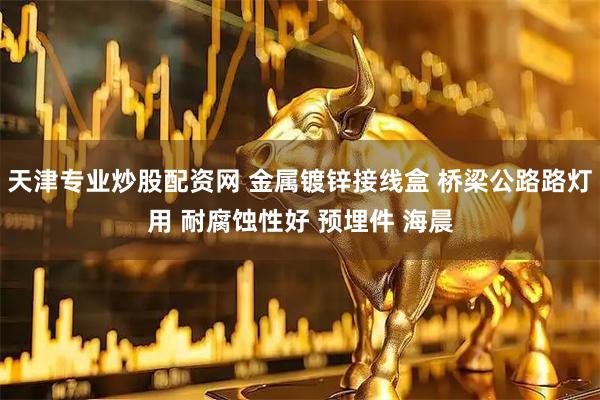 天津专业炒股配资网 金属镀锌接线盒 桥梁公路路灯用 耐腐蚀性好 预埋件 海晨